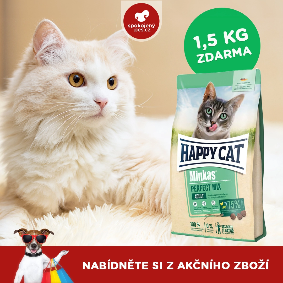 HAPPYCAT.webp