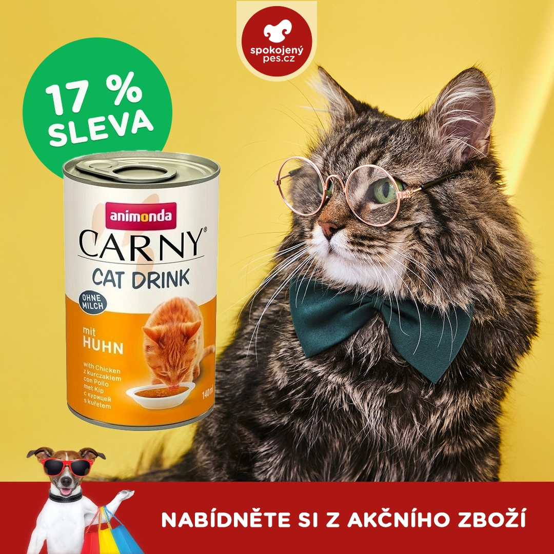 cat01.webp