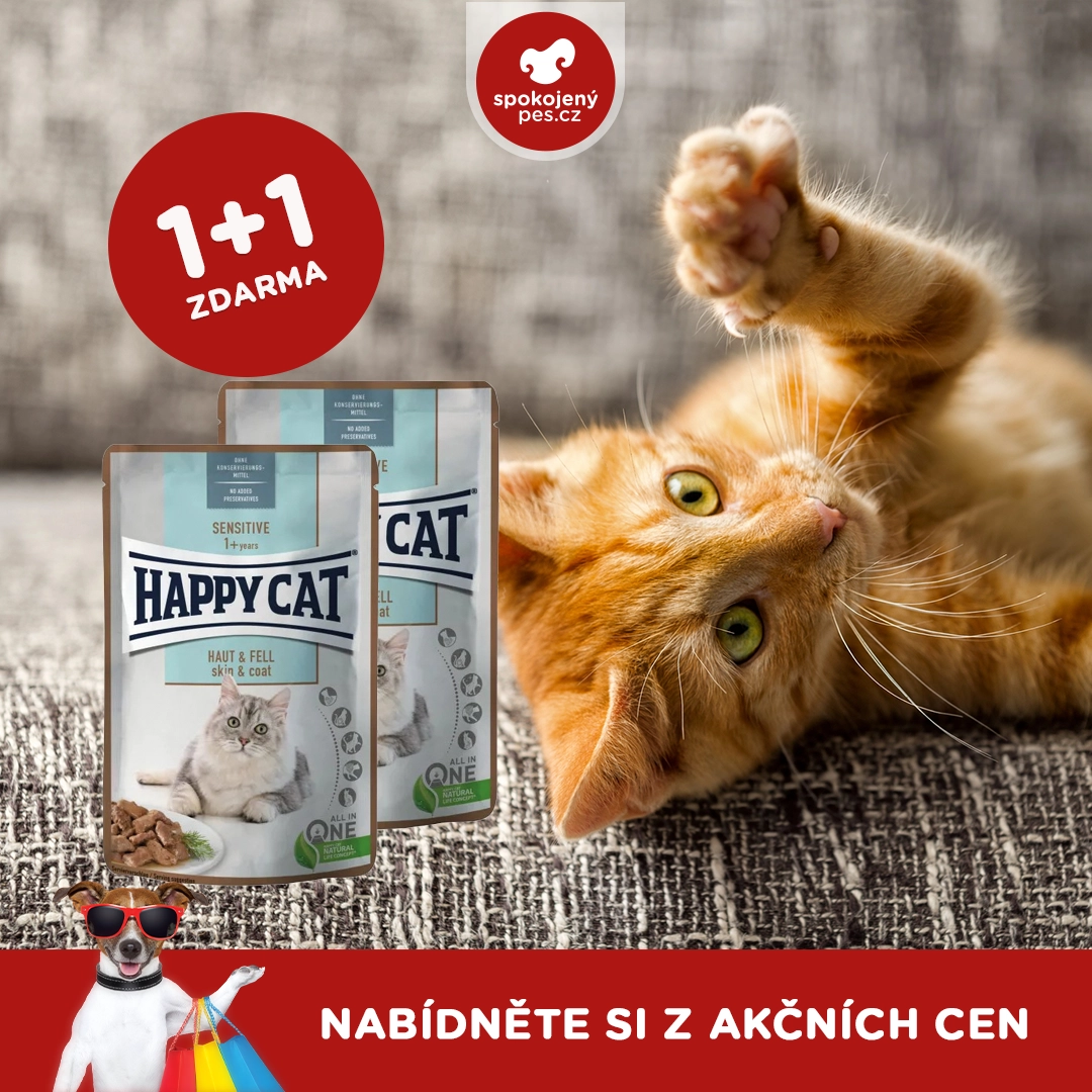 happycatkaps.webp