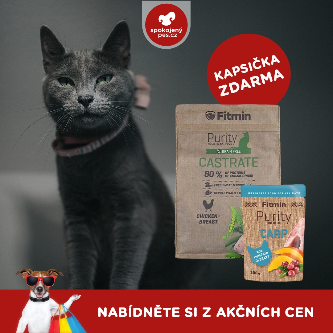 kocky20.webp