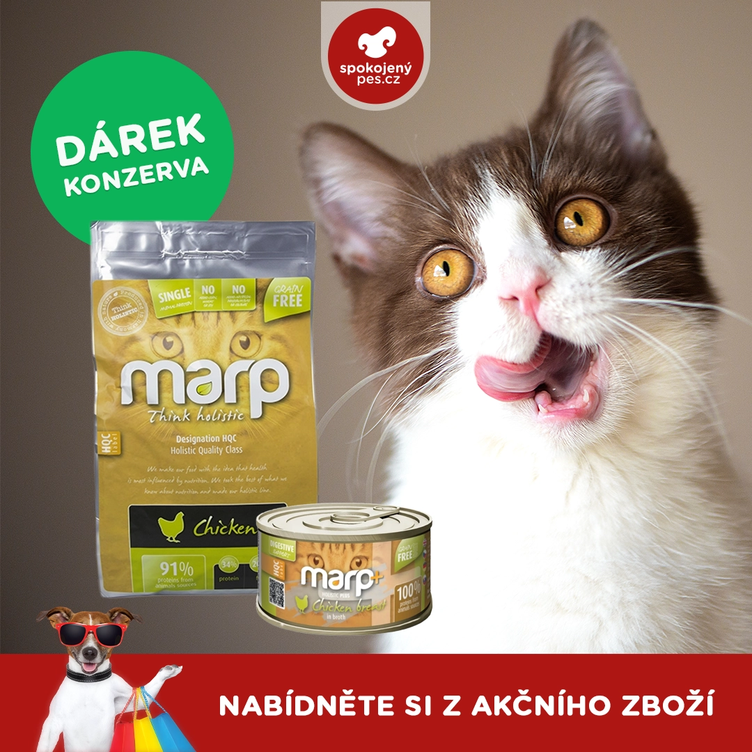 marpcat.webp